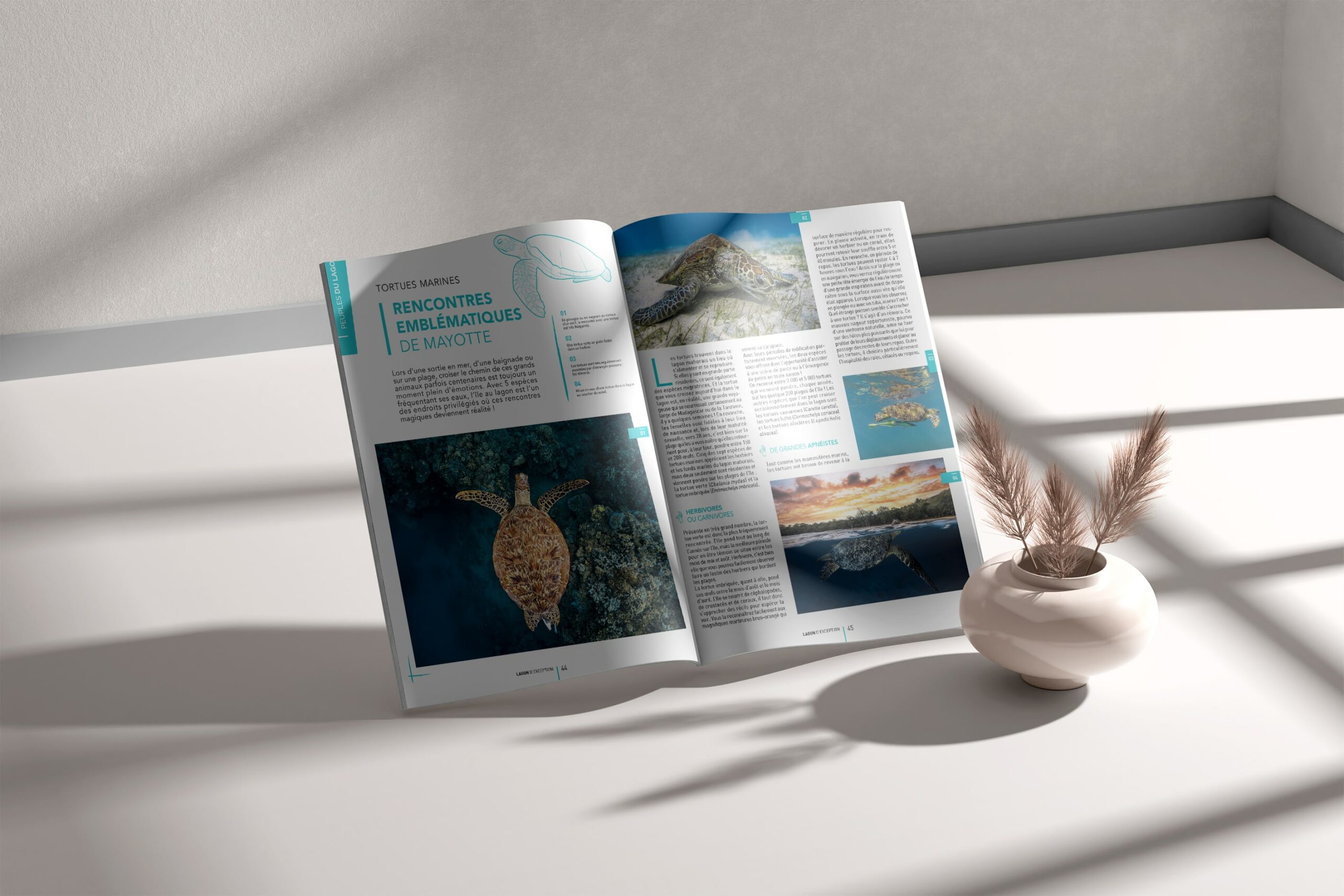 Mise en situation d'un magazine pour l'Office du Tourisme de Mayotte sur fond blanc montrant la mise en page intérieure