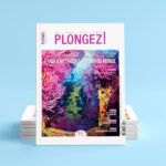 Mise en situation de la couverture d'un magazine Plongez! sur fond bleu