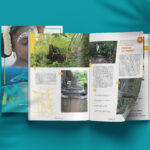 Mise en situation de deux magazines pour l'Office du Tourisme de Mayotte sur fond bleu montrant la mise en page intérieure